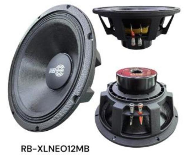 MEDIO RANGO 12